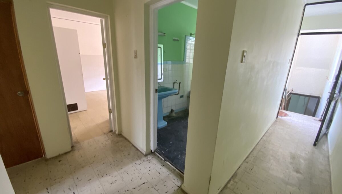 IMG_3383 de tamaño grande