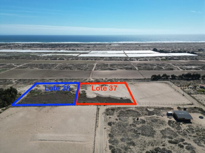 VENTA de lotes 5000 mts2 Vegas Norte parcela 117 Lotes 37 y 38