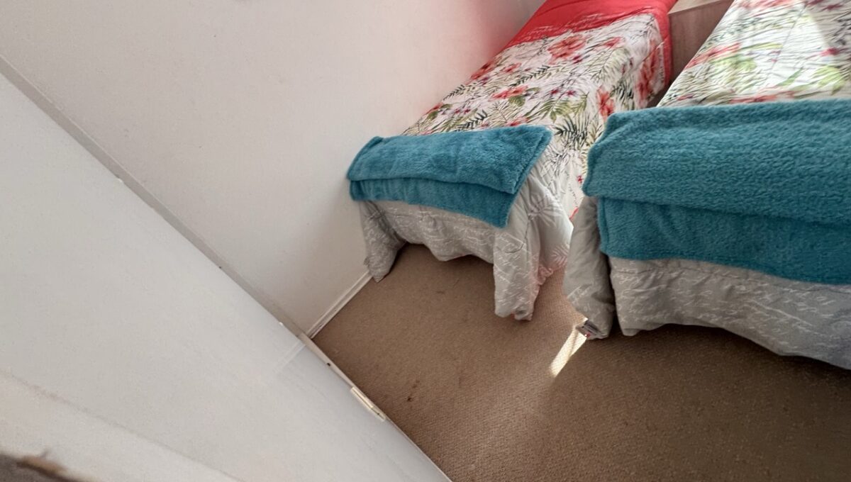 IMG_6757 de tamaño grande