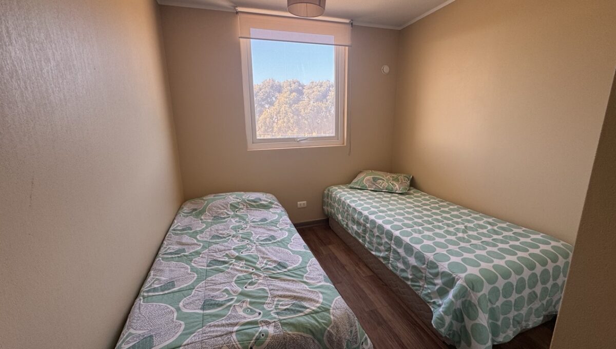 dpto501_6733 de tamaño grande