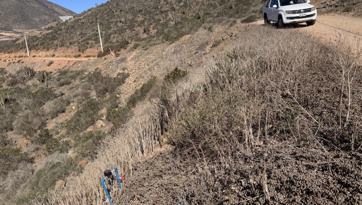 lote43ALaVarilla_7037 de tamaño grande