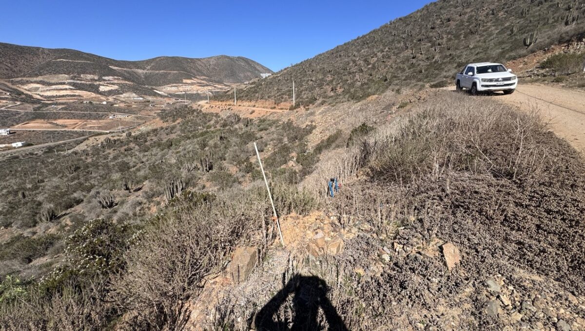 lote43ALaVarilla_7039 de tamaño grande