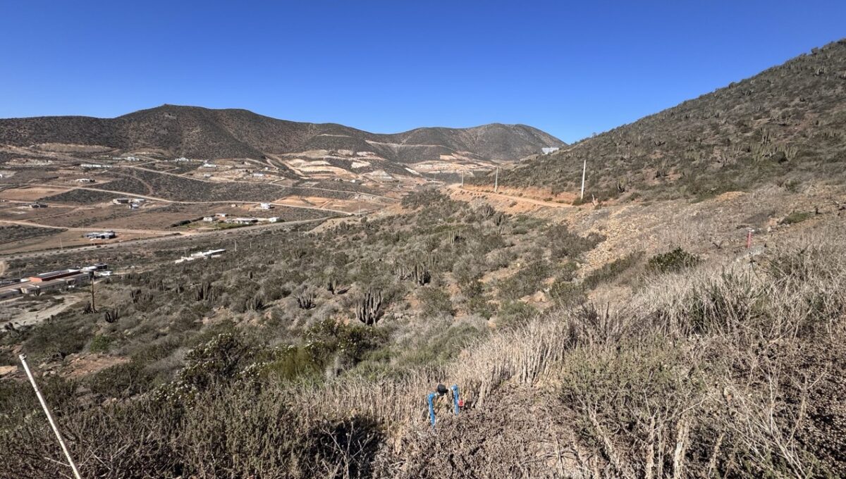 lote43ALaVarilla_7040 de tamaño grande