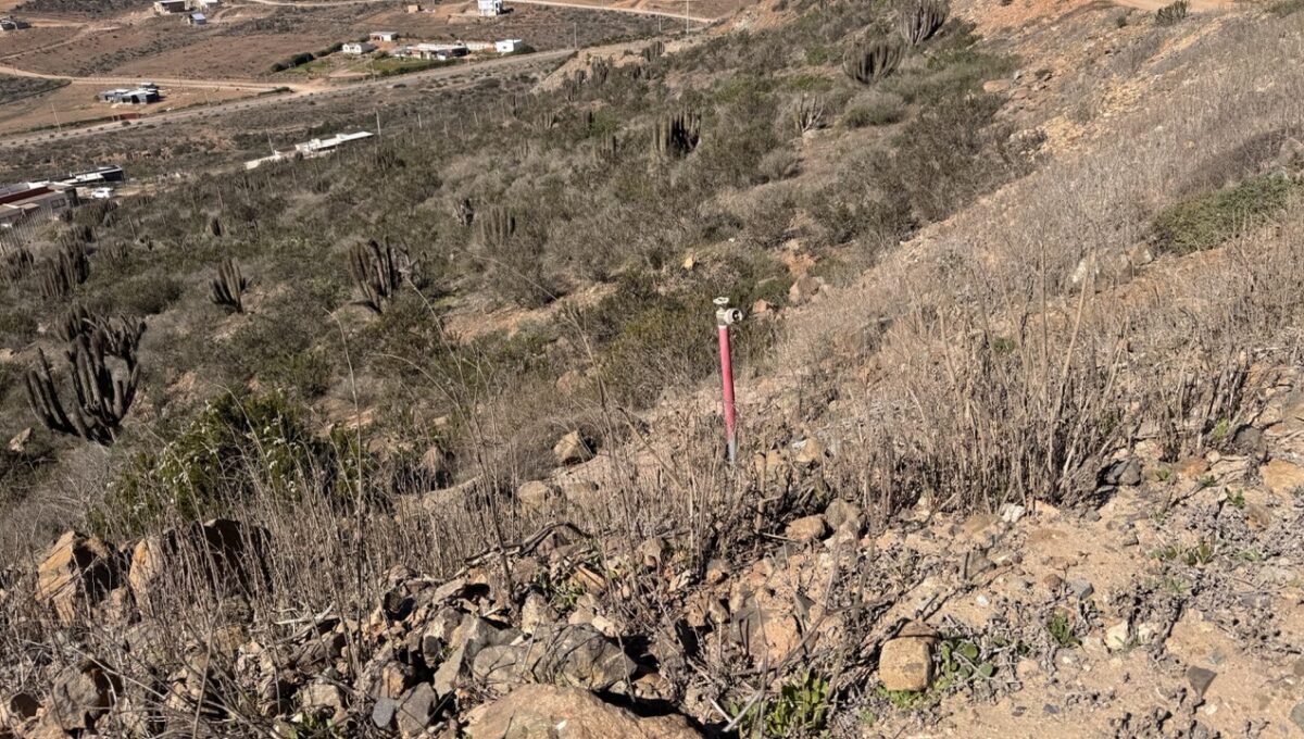 lote43ALaVarilla_7042 de tamaño grande