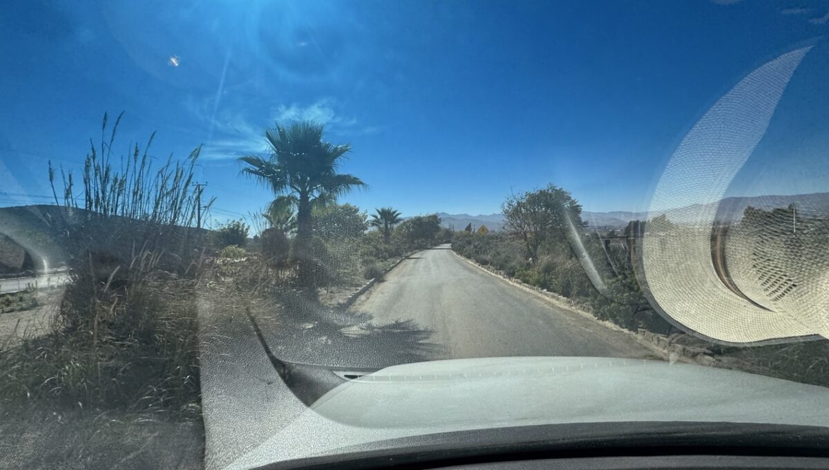 lote43ALaVarilla_7047 de tamaño grande