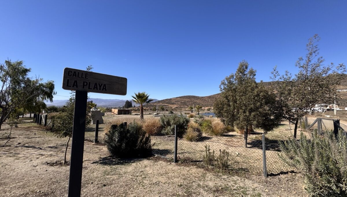 lote43ALaVarilla_7048 de tamaño grande