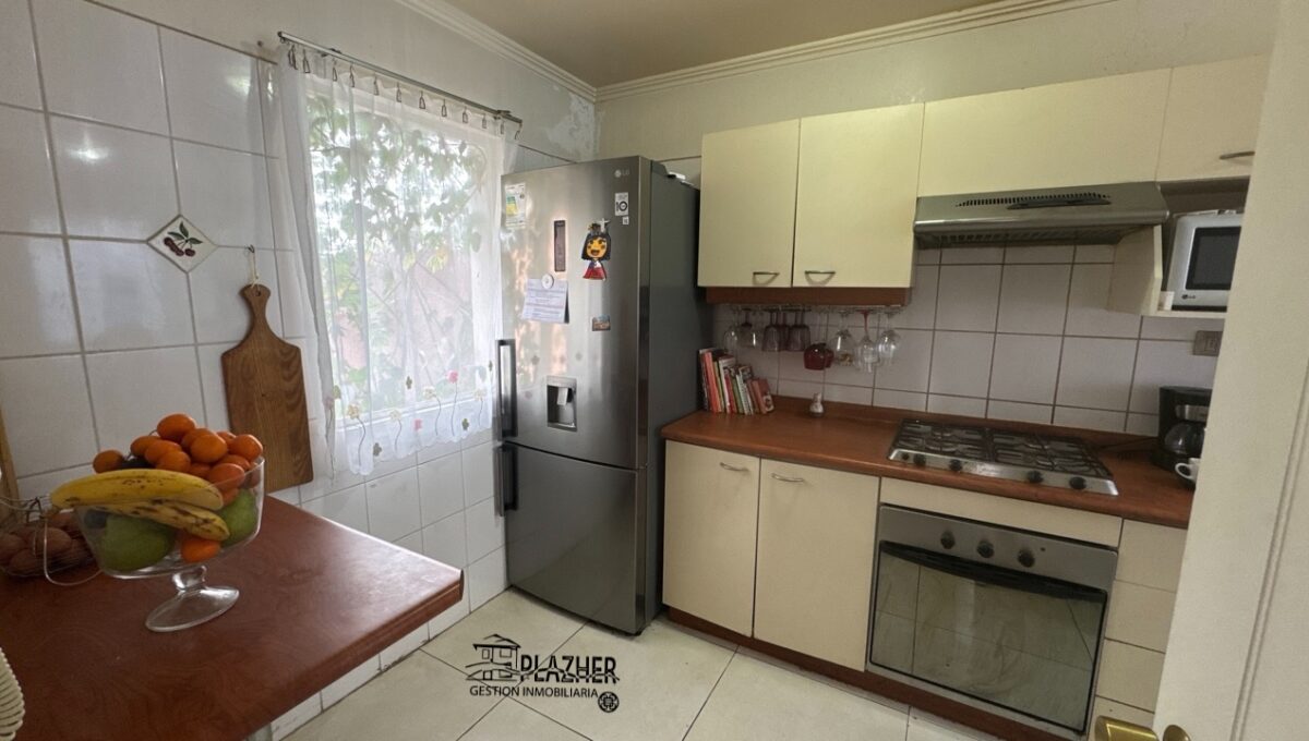 SergioGalleguillos1478SerenaOriente_20251004_175259_405 de tamaño grande