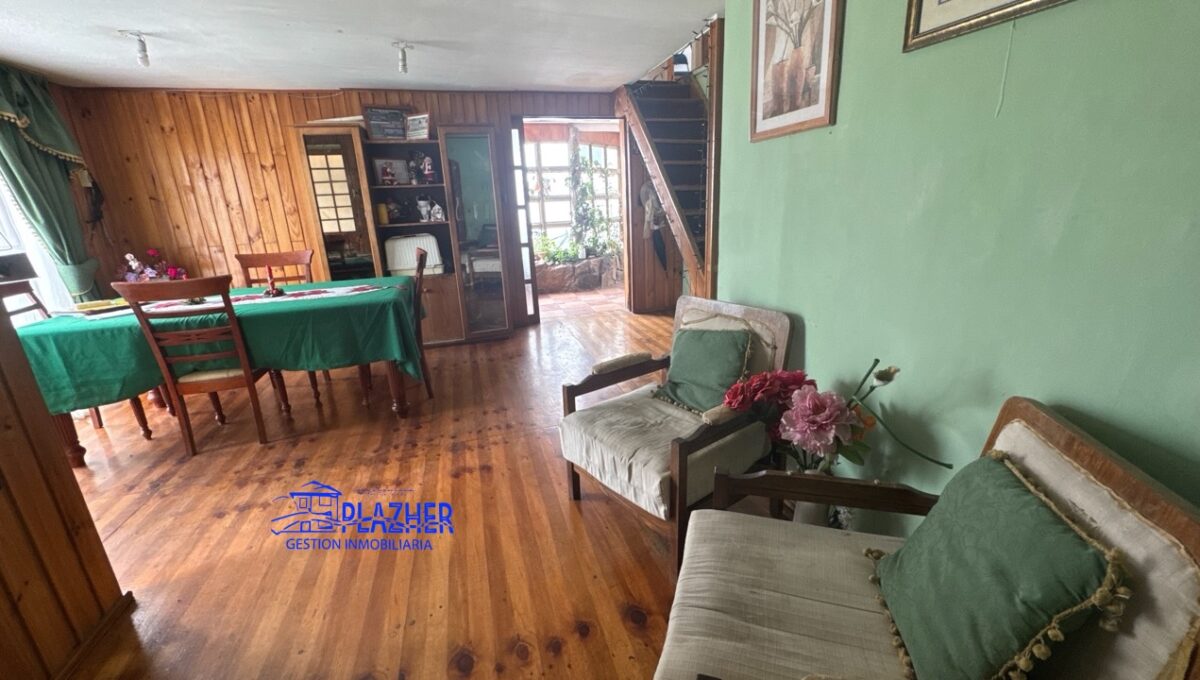 AdrianaBahamondez375Sindempart_20251231_130502_673 de tamaño grande