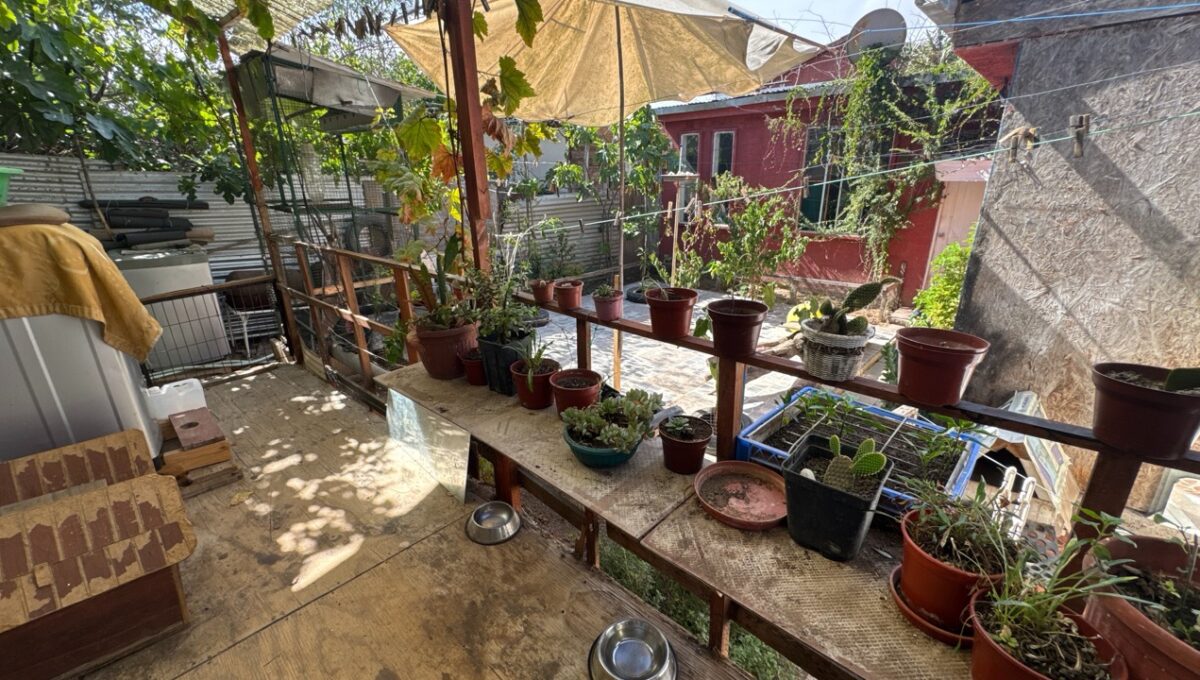 Valpo2511Cias_20260103_170703_391 de tamaño grande