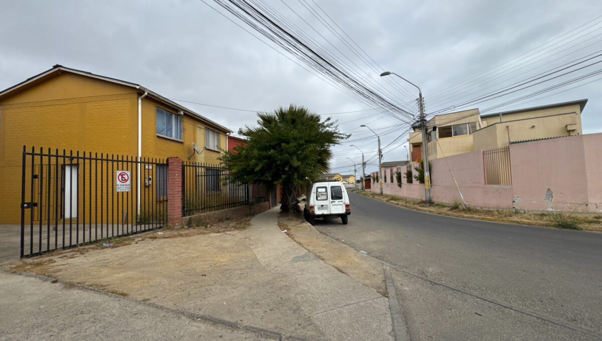 papaSanfelixIII2359_20251203_110936_671 de tamaño grande