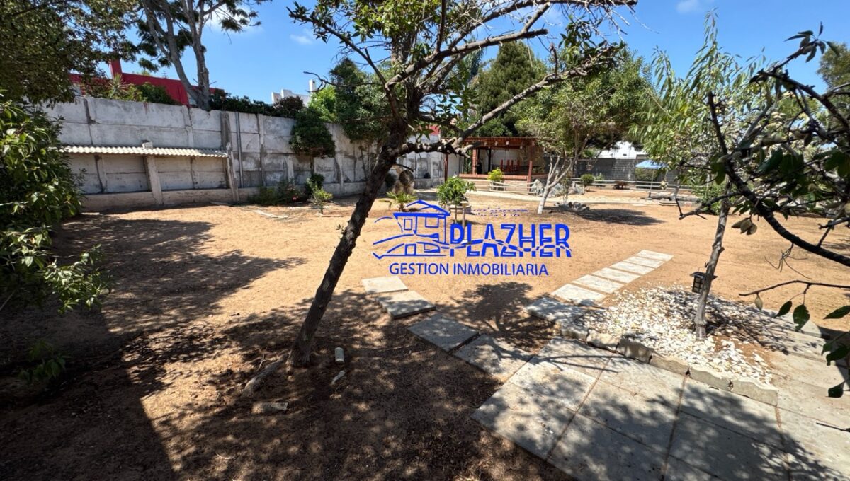 terrenoAngelCruchaga2345_20260122_120819_894 de tamaño grande