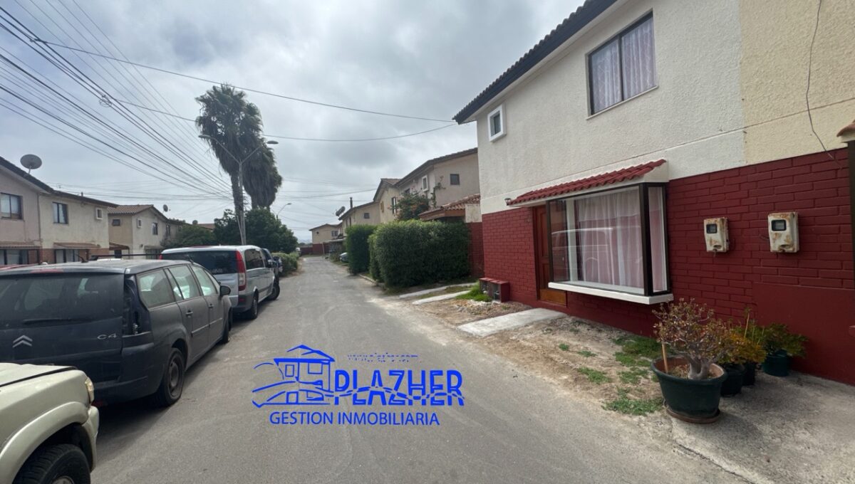 StaAna_20260223_121342_371 de tamaño grande