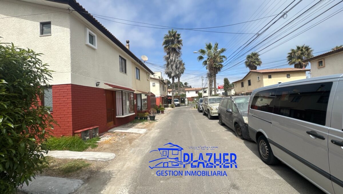 StaAna_20260223_121445_899 de tamaño grande