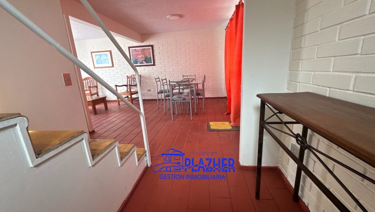 StaAna_20260223_121533_224 de tamaño grande