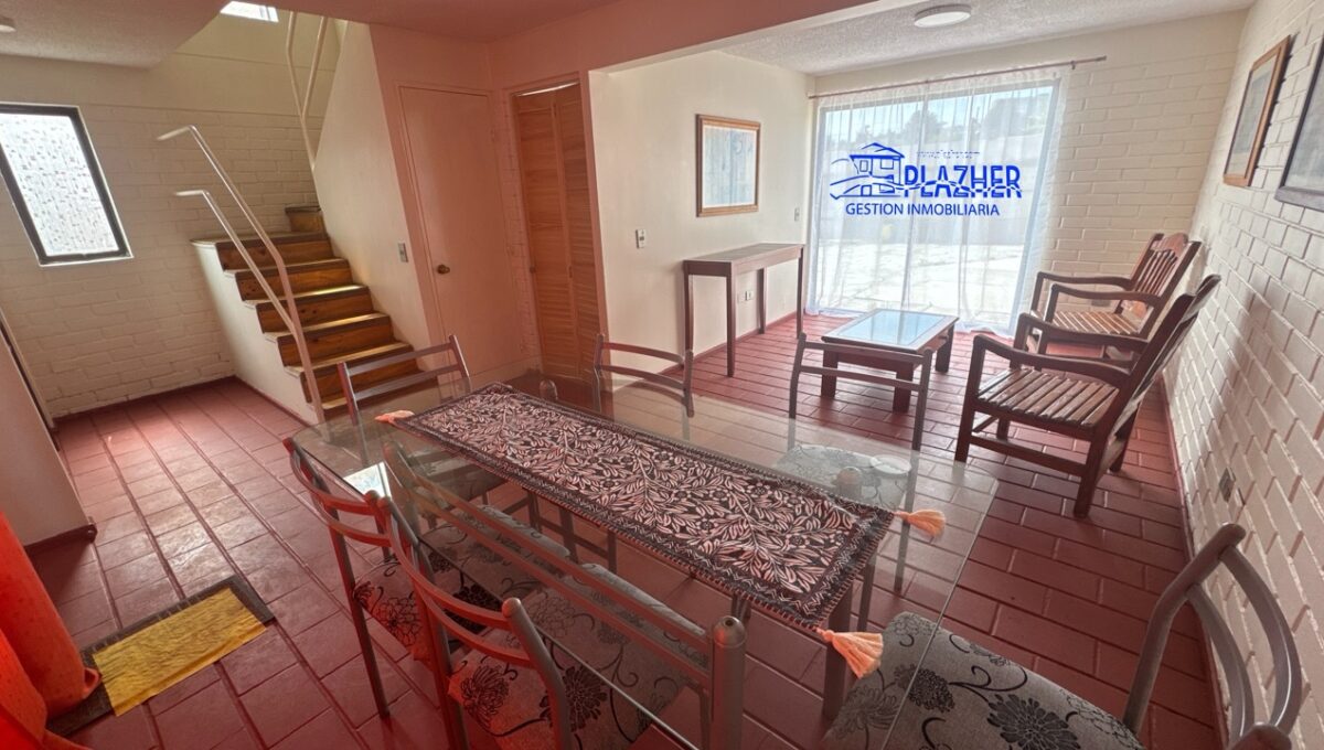 StaAna_20260223_121720_638 de tamaño grande