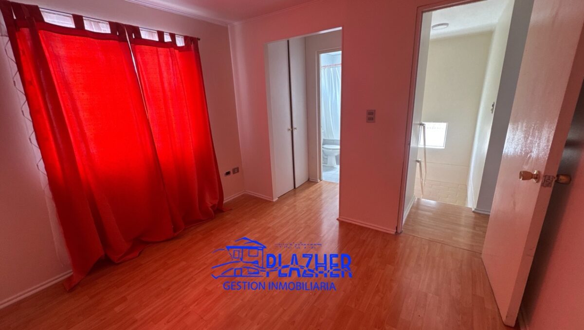 StaAna_20260223_121755_261 de tamaño grande