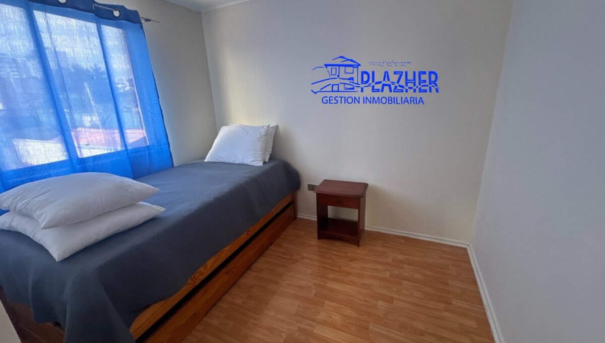 StaAna_20260223_121913_696 de tamaño grande