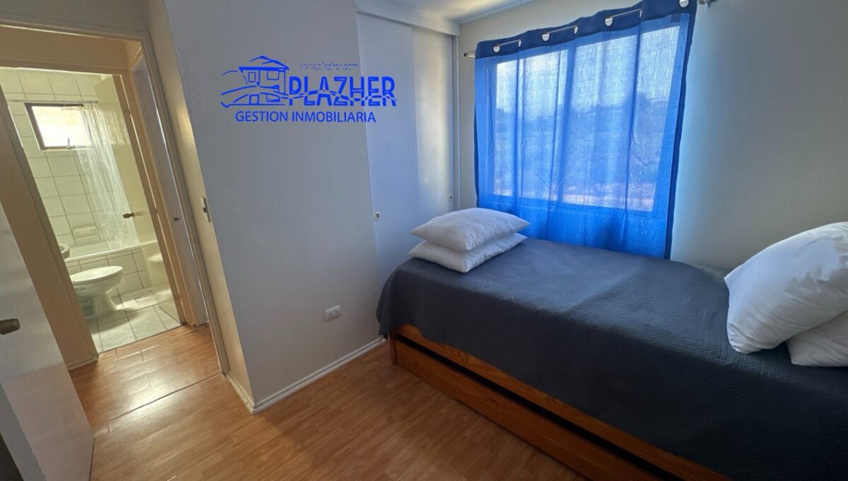 StaAna_20260223_121922_727 de tamaño grande