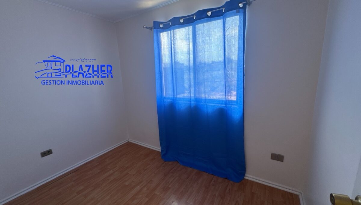 StaAna_20260223_121937_052 de tamaño grande