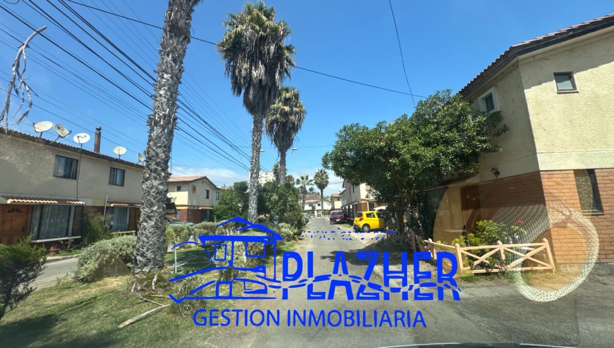 StaAna_20260223_125142_426 de tamaño grande