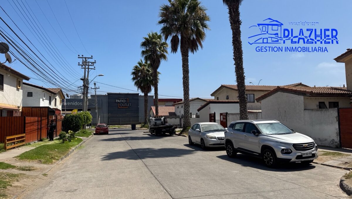 StaAna_20260223_125325_361 de tamaño grande