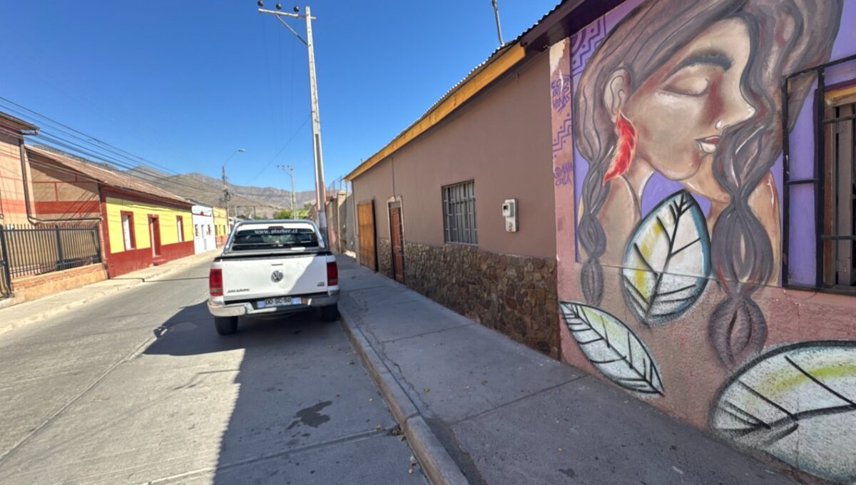 Condell475Vicuña_20260306_161849_496 de tamaño grande