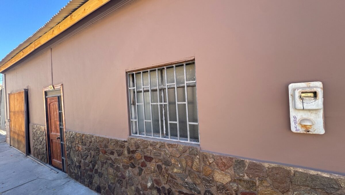 Condell475Vicuña_20260306_161917_038 de tamaño grande