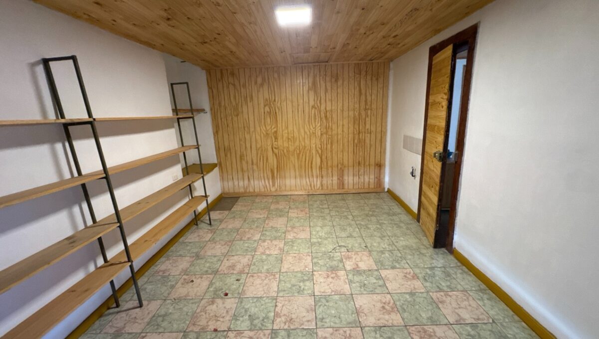 Condell475Vicuña_20260306_162054_954 de tamaño grande