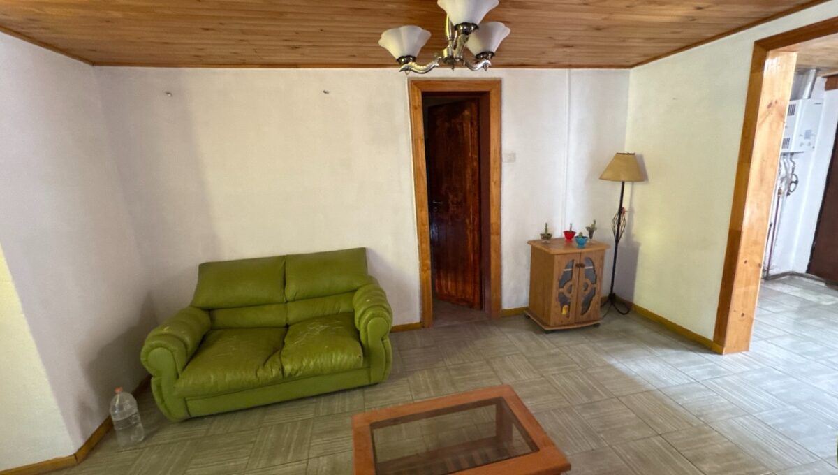 Condell475Vicuña_20260306_162140_978 de tamaño grande