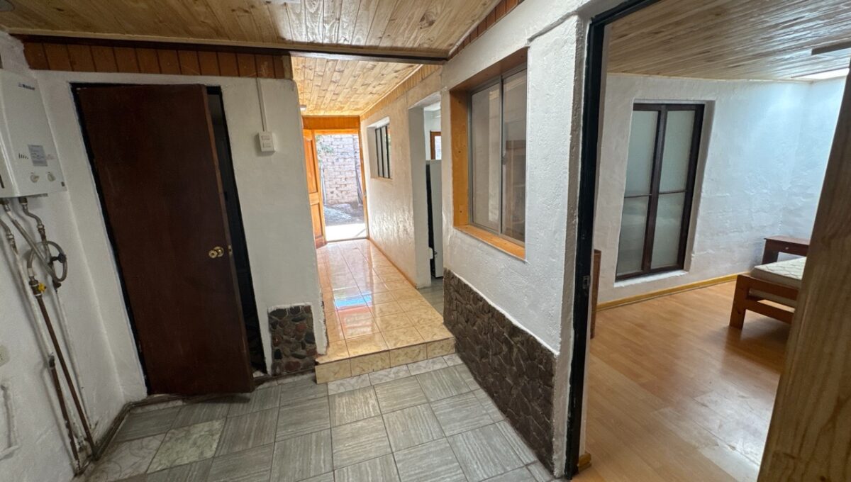 Condell475Vicuña_20260306_162148_434 de tamaño grande