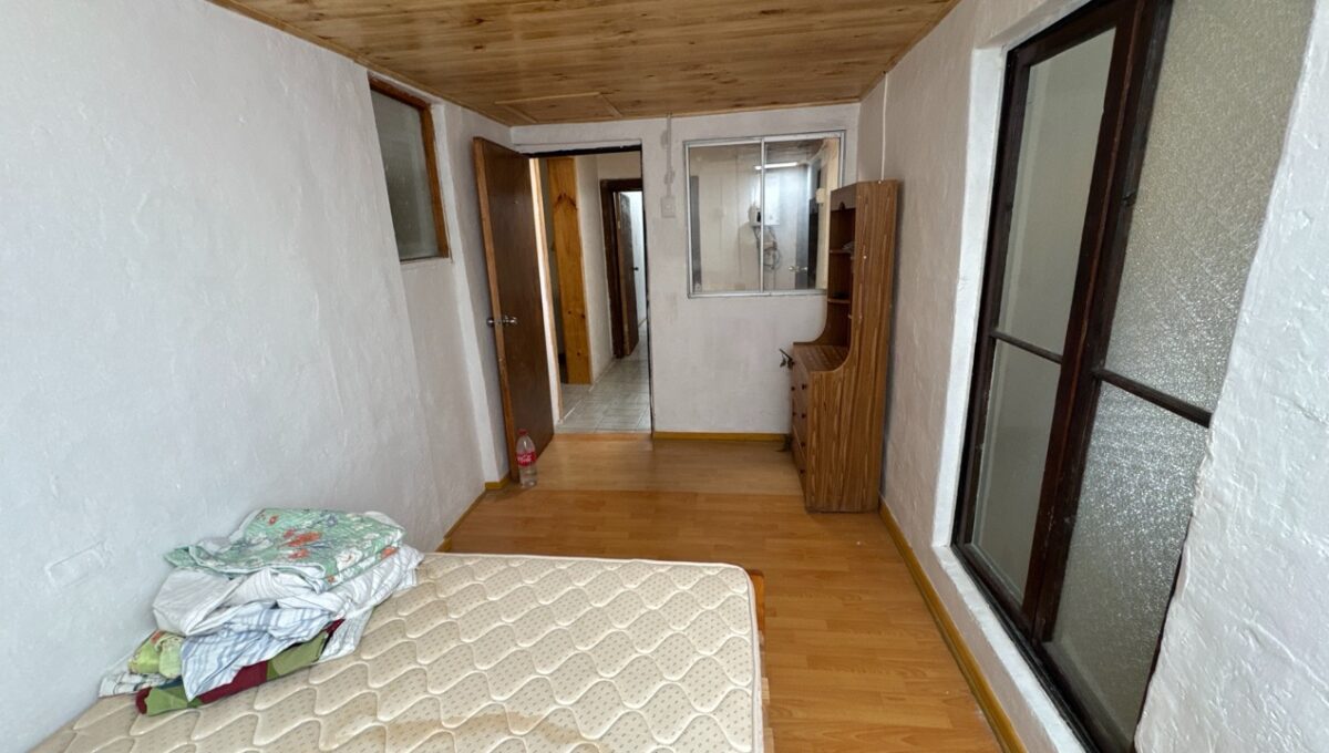 Condell475Vicuña_20260306_162225_948 de tamaño grande