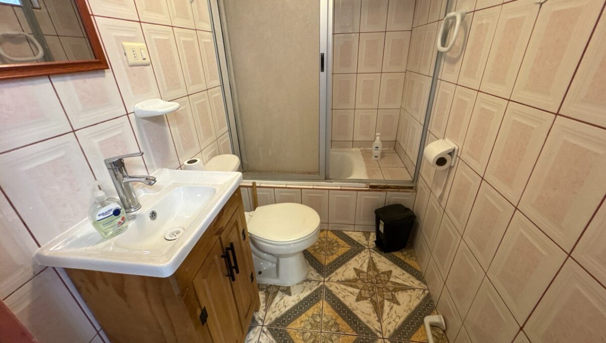 Condell475Vicuña_20260306_162250_233 de tamaño grande