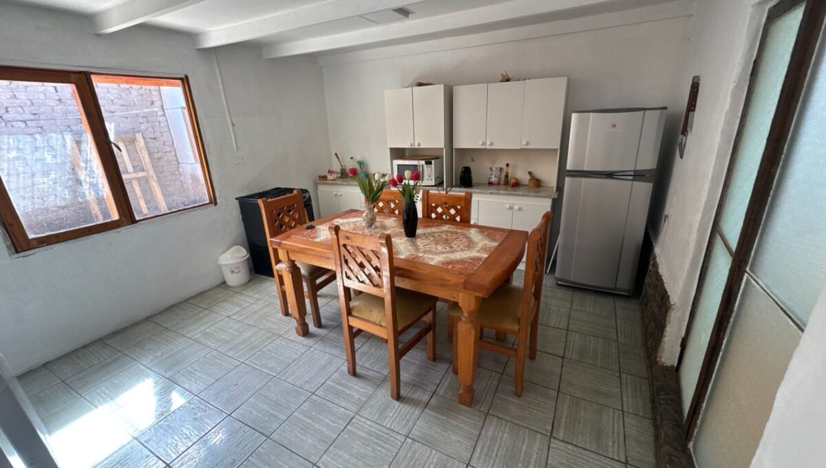 Condell475Vicuña_20260306_162311_429 de tamaño grande