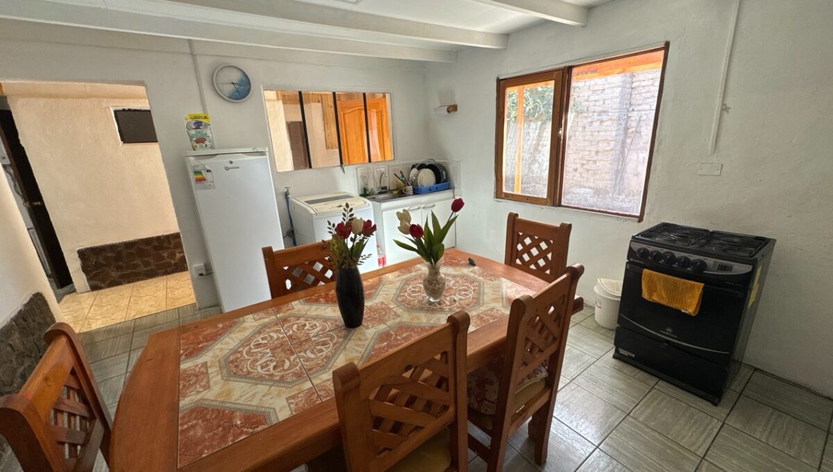 Condell475Vicuña_20260306_162323_236 de tamaño grande