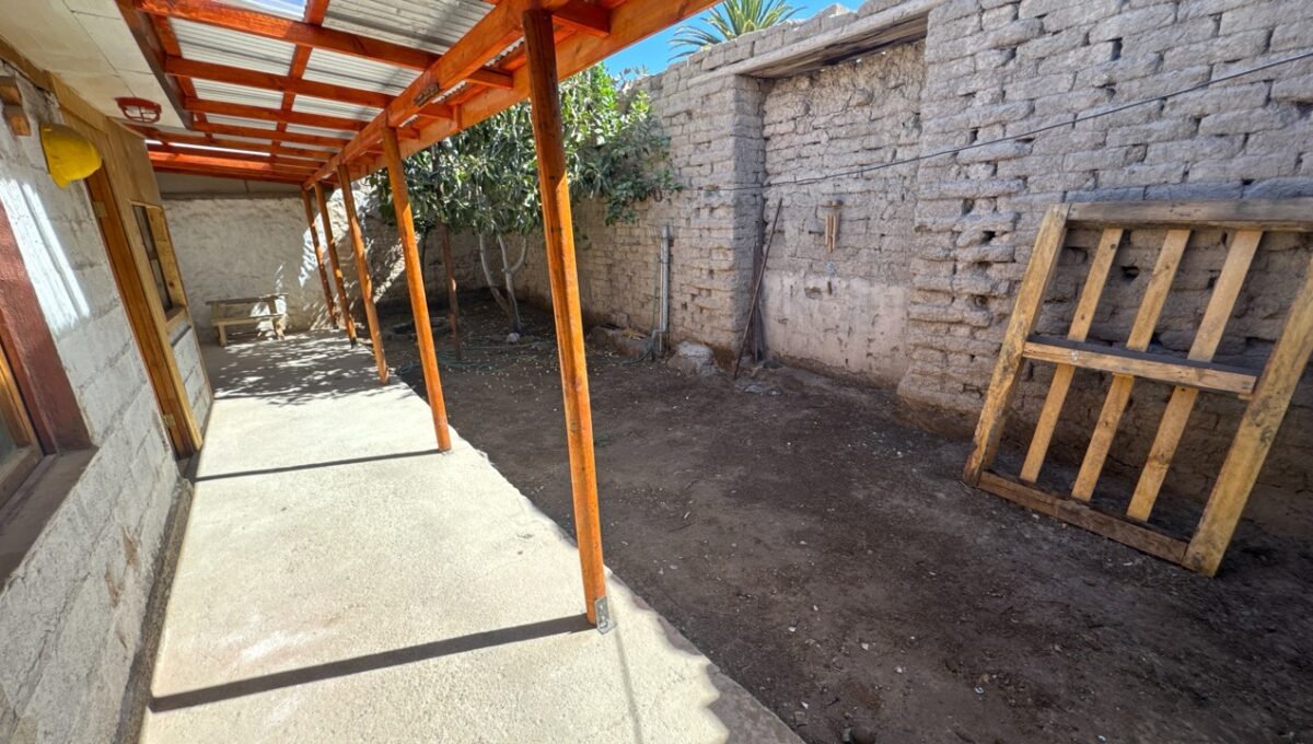 Condell475Vicuña_20260306_162429_421 de tamaño grande