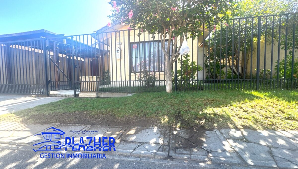 San Fco Asis 4175_20260311_164109_228 de tamaño grande