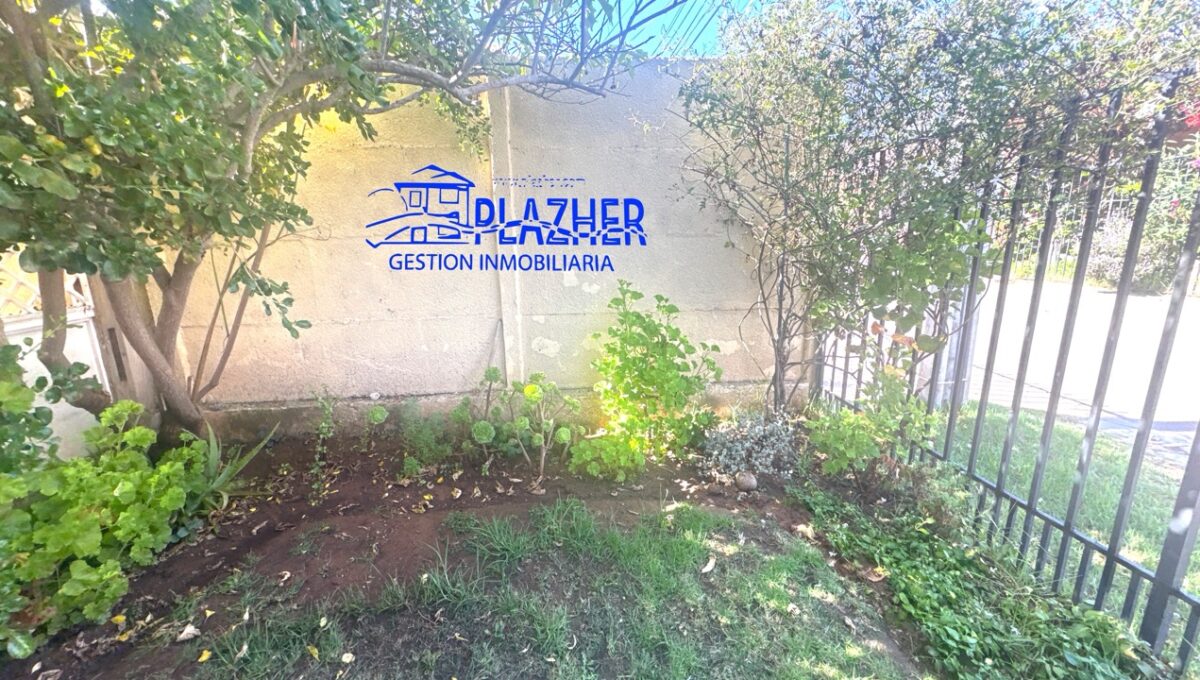 San Fco Asis 4175_20260311_164218_515 de tamaño grande